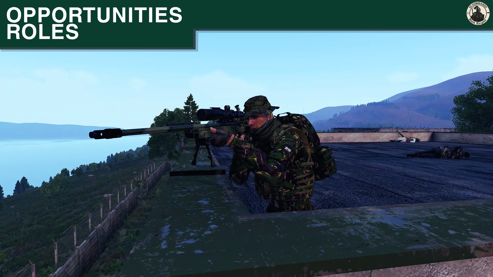 Opportunities & Roles